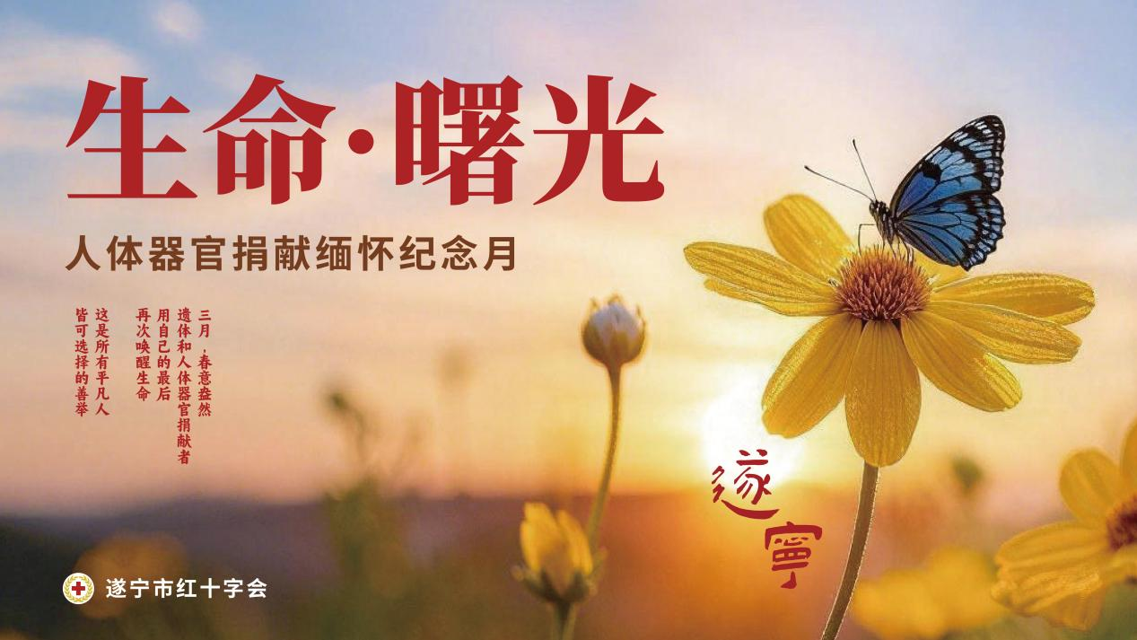 1774925606538086786.png 图片1.png